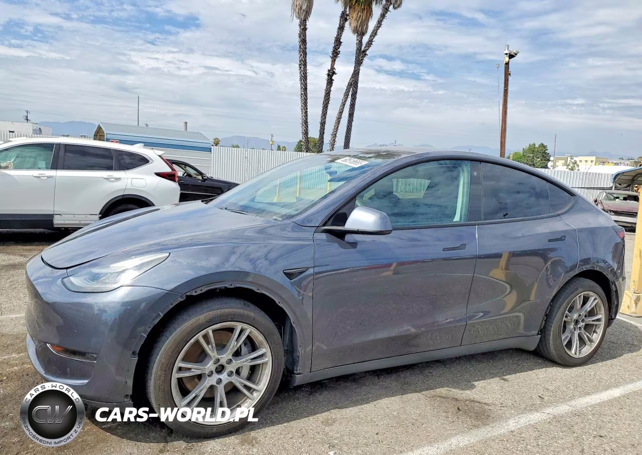 2020 Tesla Model Y