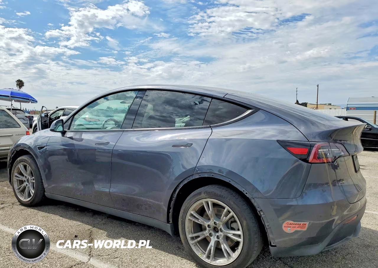 2020 Tesla Model Y VIN:5YJYGDEEXLF019834 - 2