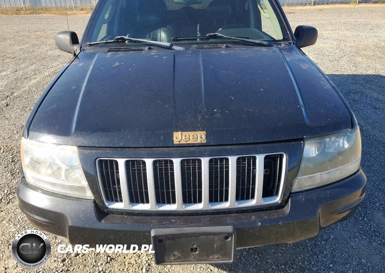 2004 Jeep Grand Cherokee Laredo VIN:1J4GX48S24C370873 - 11