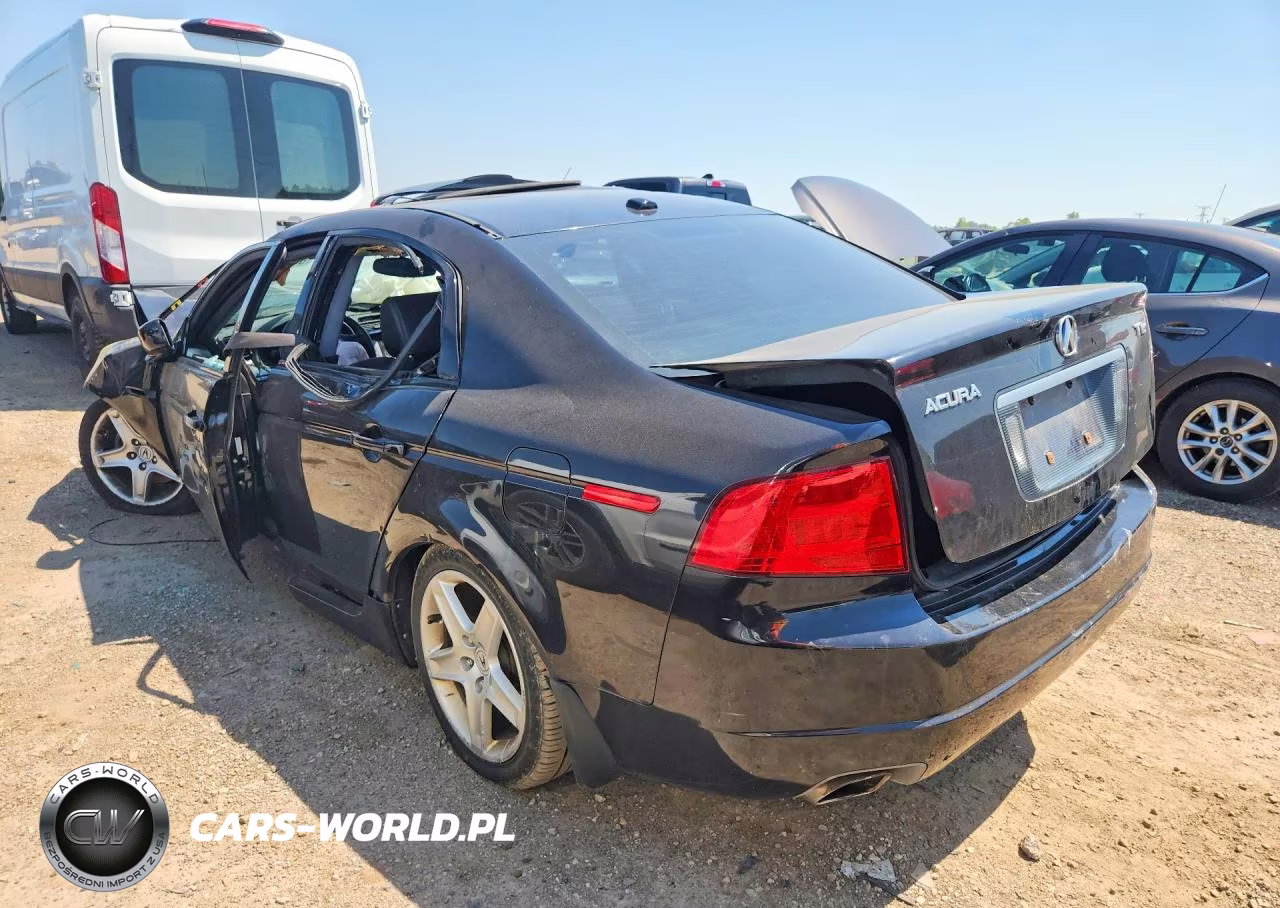 2004 Acura Tl VIN:19UUA66244A019565 - 2