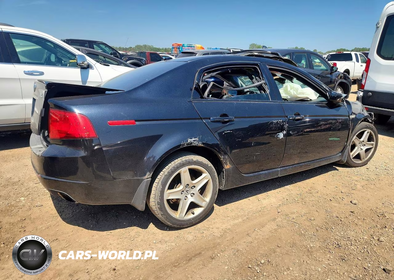 2004 Acura Tl VIN:19UUA66244A019565 - 3