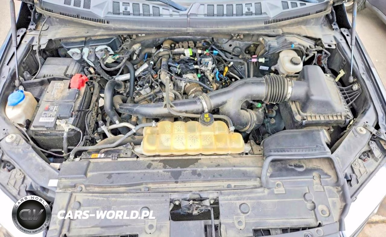 2019 Ford F150 Supercrew VIN:1FTEW1EP0KKF23820 - 11