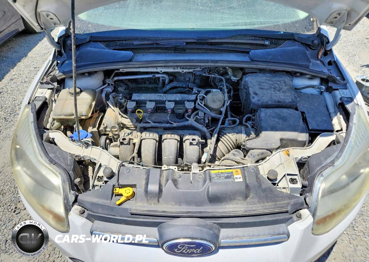2014 Ford Focus Se VIN:1FADP3K21EL123685 - 11