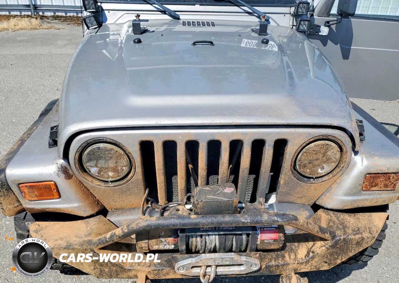 2001 Jeep Wrangler - Tj Sport VIN:1J4FA49S01P316276 - 12