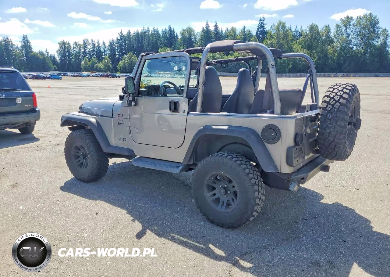 2001 Jeep Wrangler - Tj Sport VIN:1J4FA49S01P316276 - 2