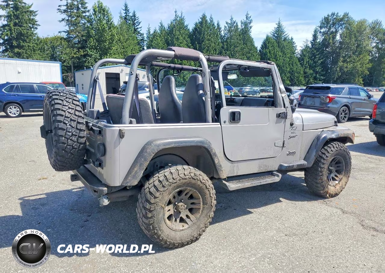 2001 Jeep Wrangler - Tj Sport VIN:1J4FA49S01P316276 - 3