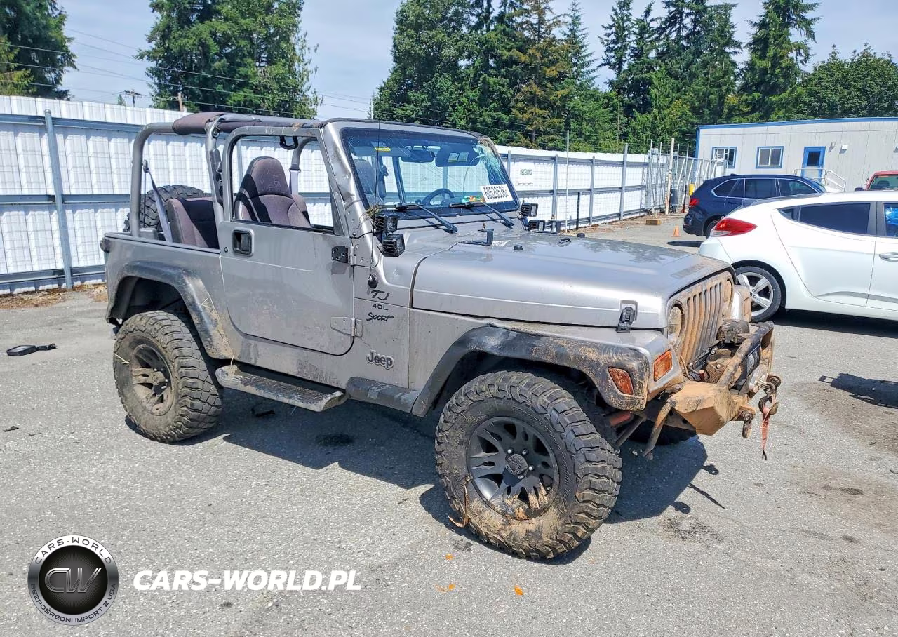 2001 Jeep Wrangler - Tj Sport VIN:1J4FA49S01P316276 - 4