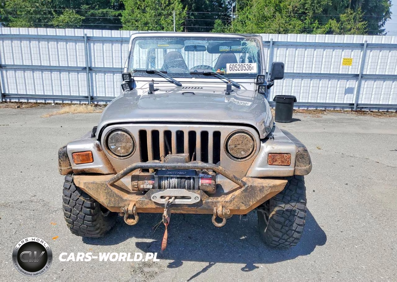 2001 Jeep Wrangler - Tj Sport VIN:1J4FA49S01P316276 - 5
