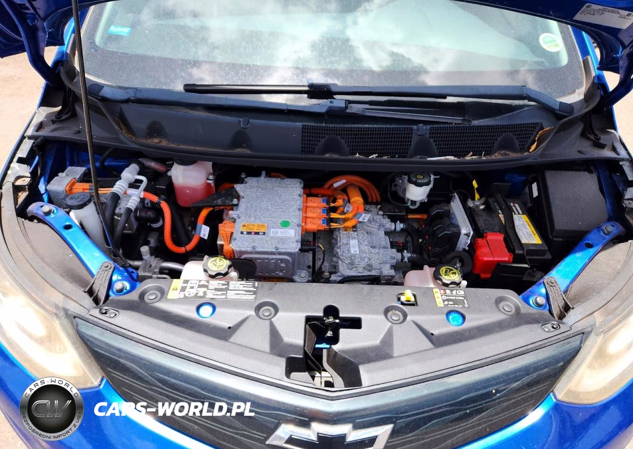 2017 Chevrolet Bolt Ev Lt VIN:1G1FW6S01H4171118 - 11