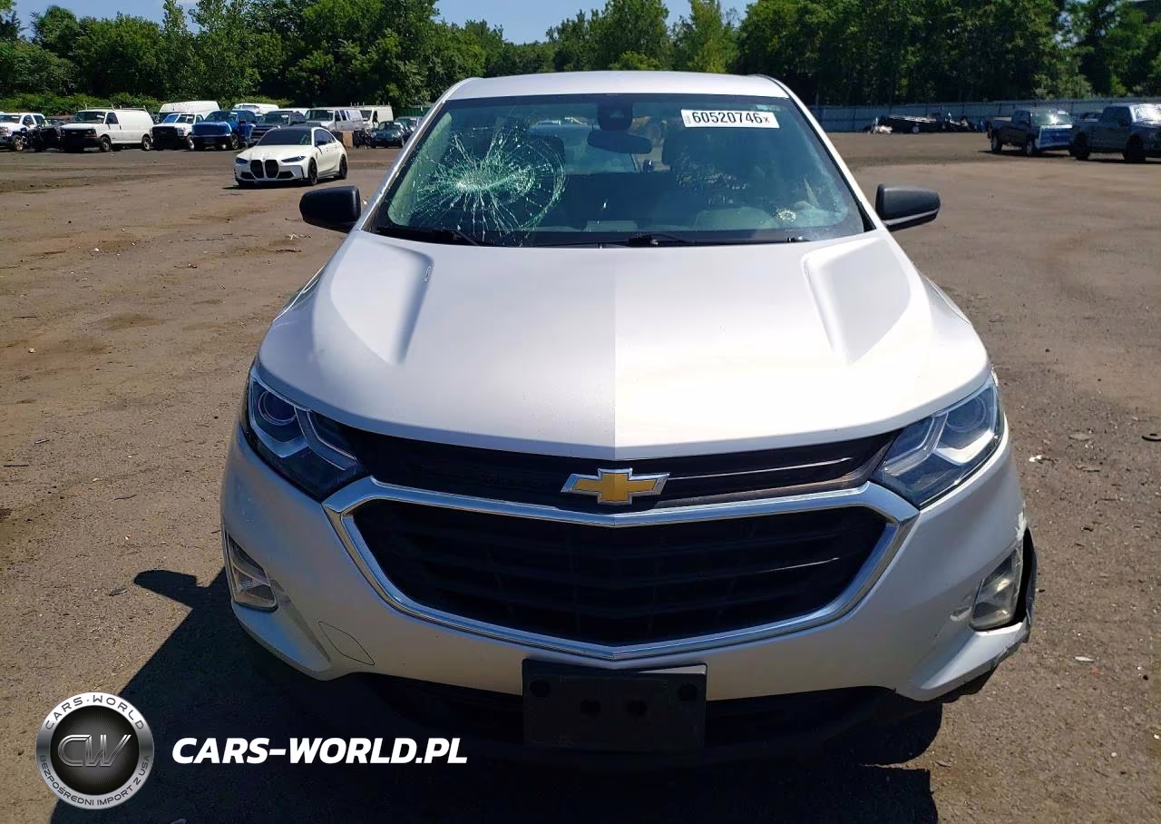 2020 Chevrolet Equinox Ls VIN:3GNAXSEV1LS712537 - 5