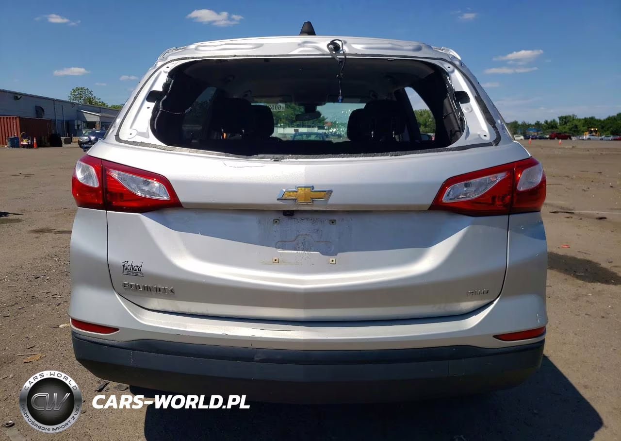 2020 Chevrolet Equinox Ls VIN:3GNAXSEV1LS712537 - 6