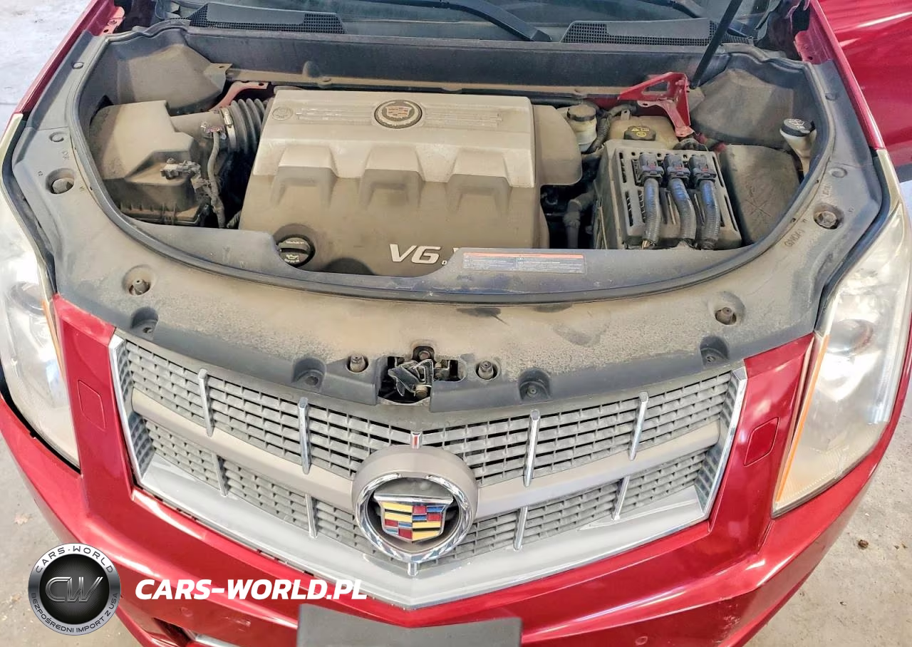 2010 Cadillac Srx Performance Collection VIN:3GYFNEEY3AS583188 - 12