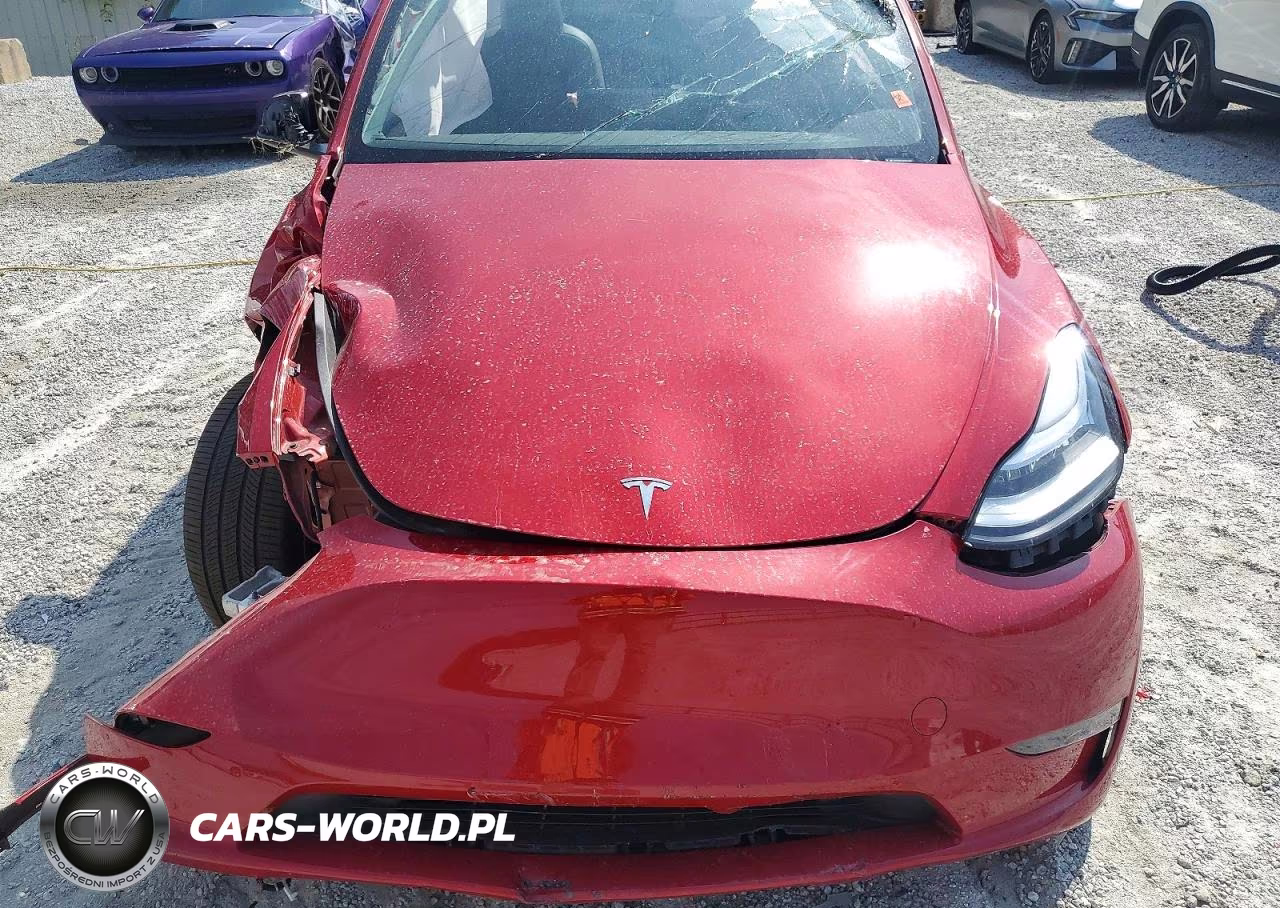2023 Tesla Model Y VIN:7SAYGDEE2PA127905 - 12
