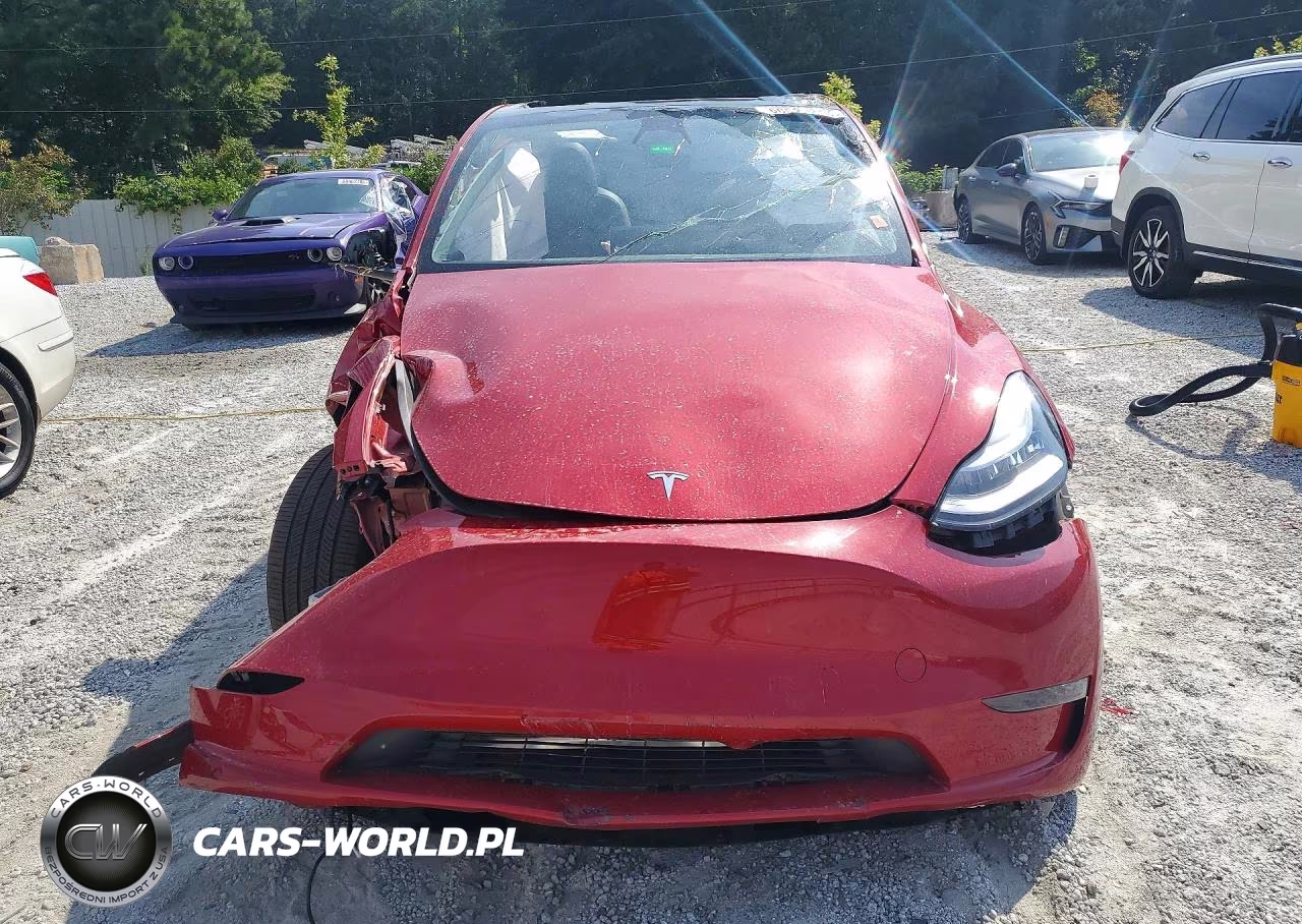 2023 Tesla Model Y VIN:7SAYGDEE2PA127905 - 5