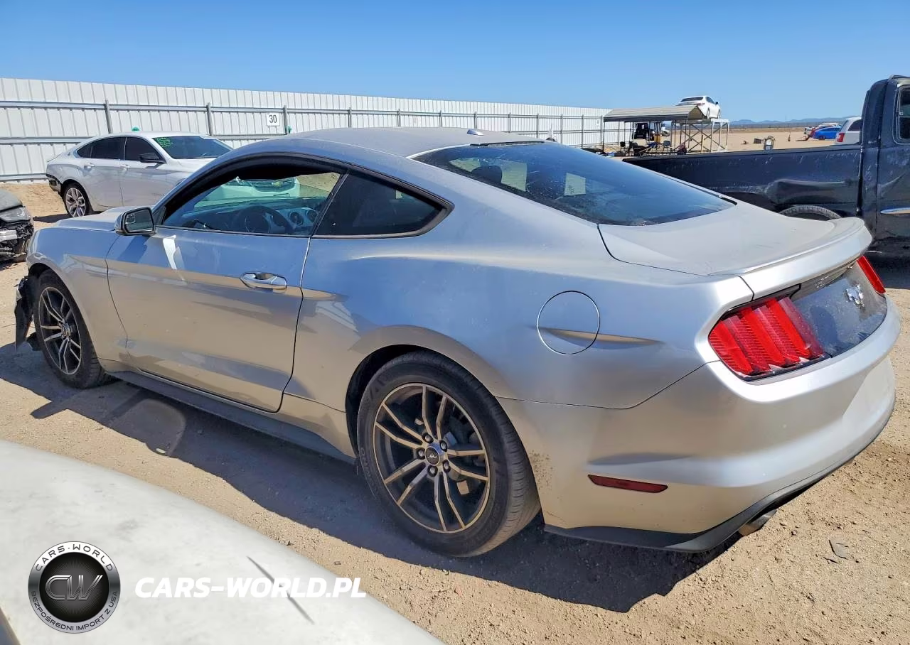 2017 Ford Mustang VIN:1FA6P8THXH5225519 - 2