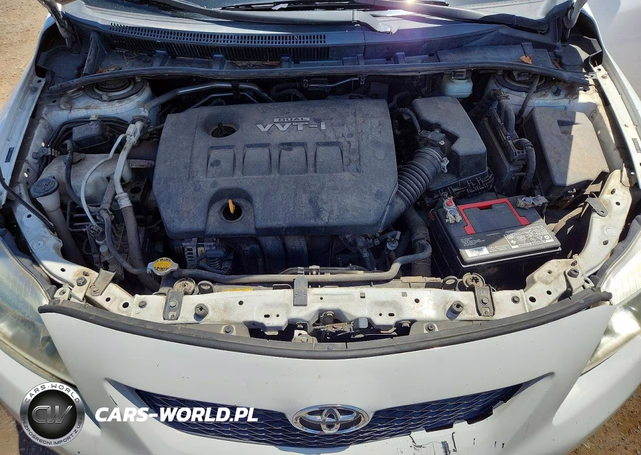 2010 Toyota Corolla Base VIN:JTDBU4EE8AJ060239 - 11