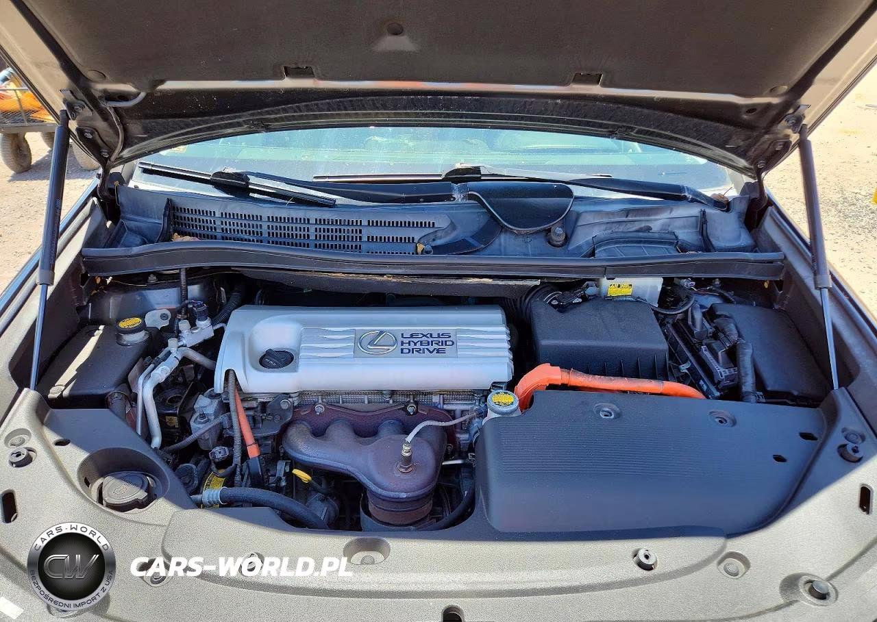 2010 Lexus Hs 250H VIN:JTHBB1BA2A2023282 - 11