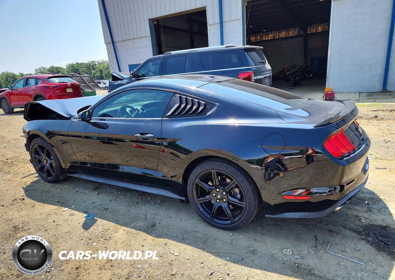 2019 Ford Mustang Gt VIN:1FA6P8CF3K5182454 - 2