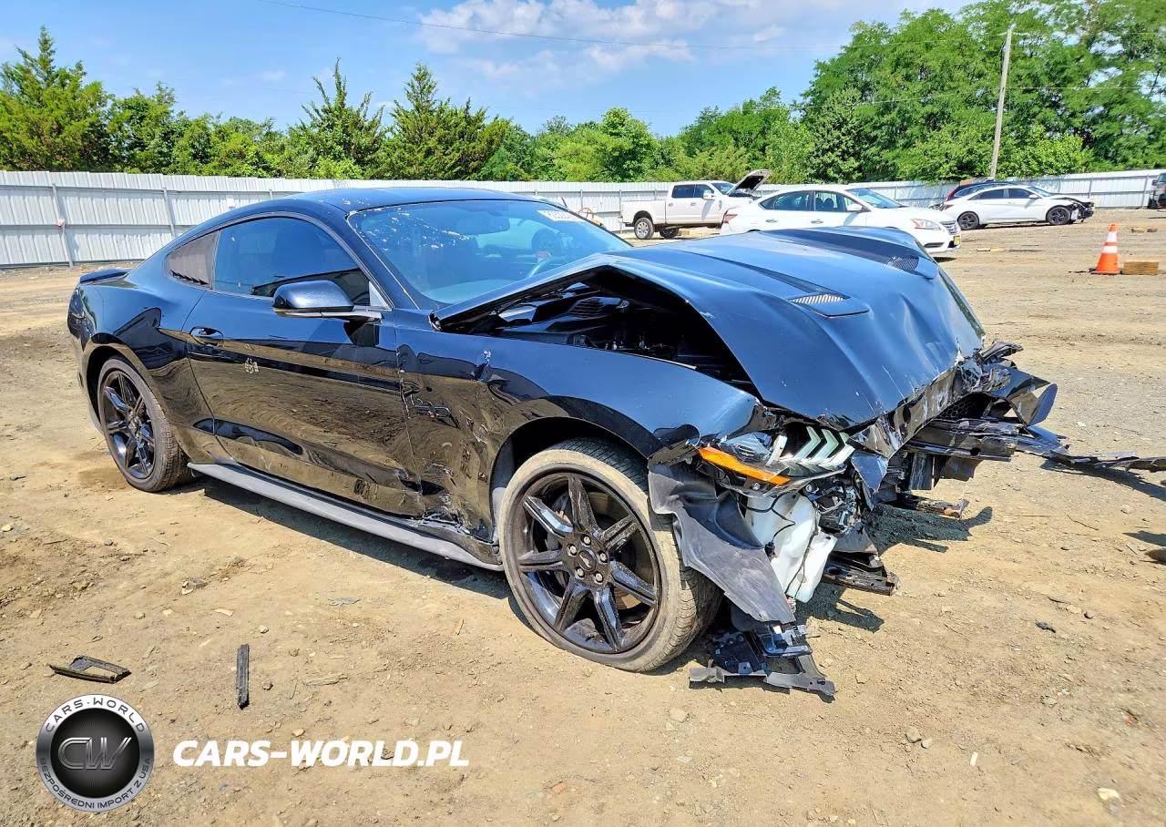 2019 Ford Mustang Gt VIN:1FA6P8CF3K5182454 - 4