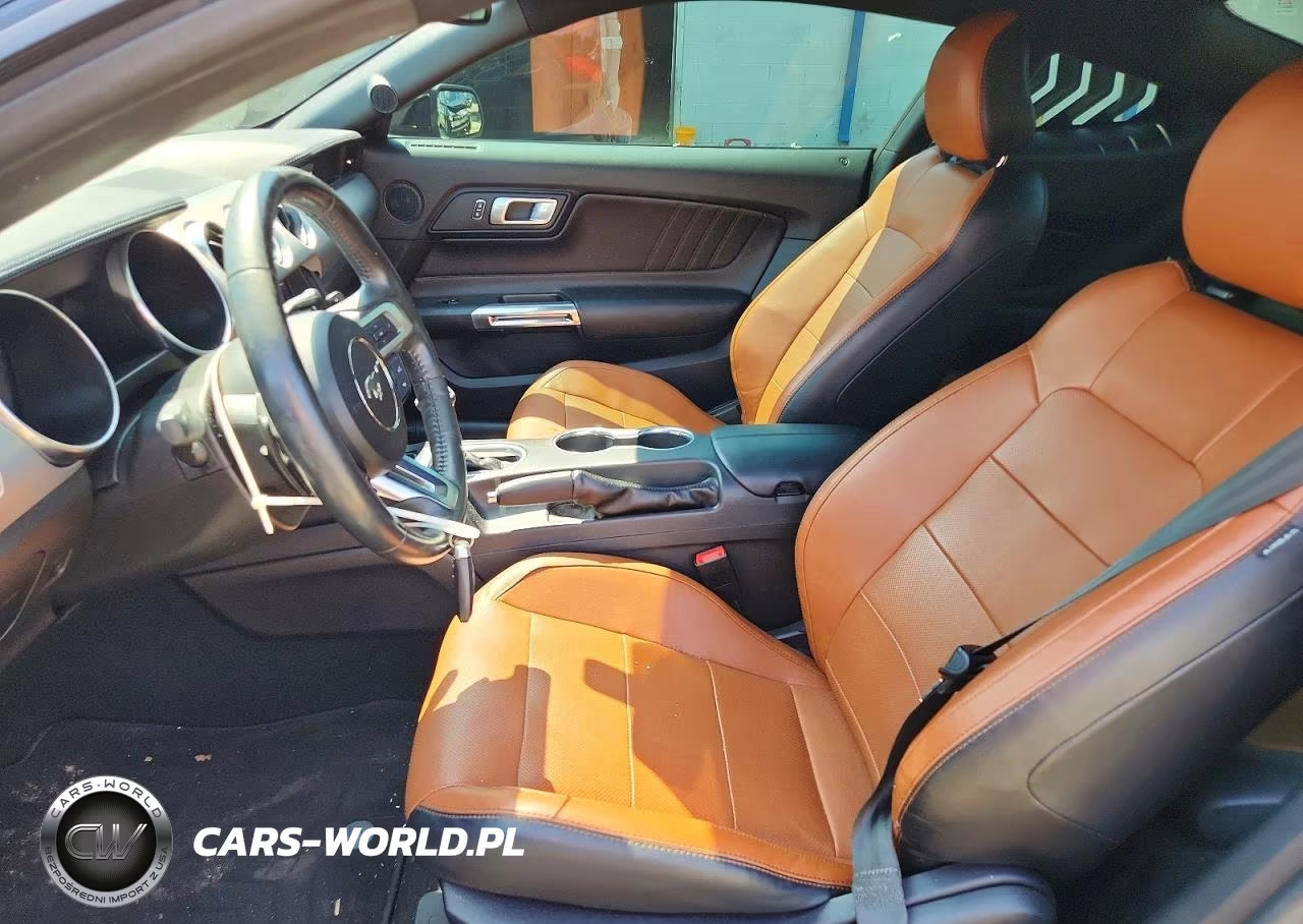2019 Ford Mustang Gt VIN:1FA6P8CF3K5182454 - 7