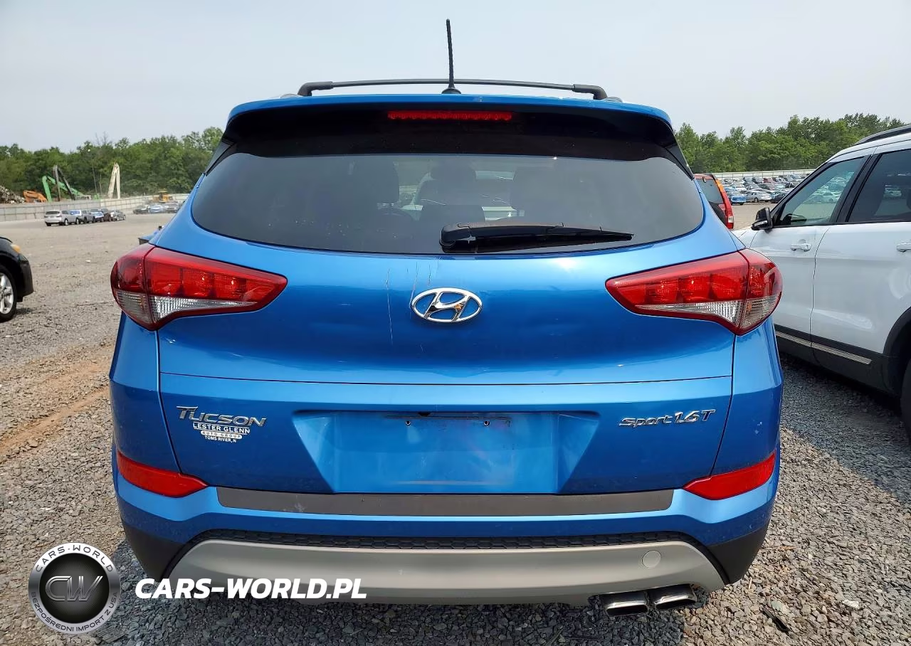 2017 Hyundai Tucson Sport VIN:KM8J33A27HU352215 - 6