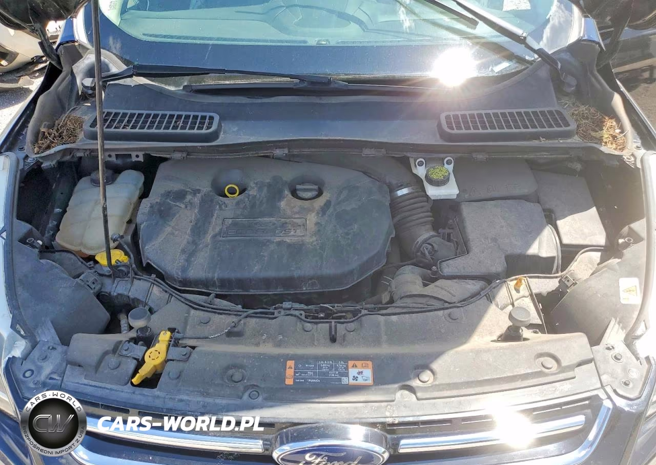 2016 Ford Escape Titanium VIN:1FMCU0J9XGUB36701 - 12