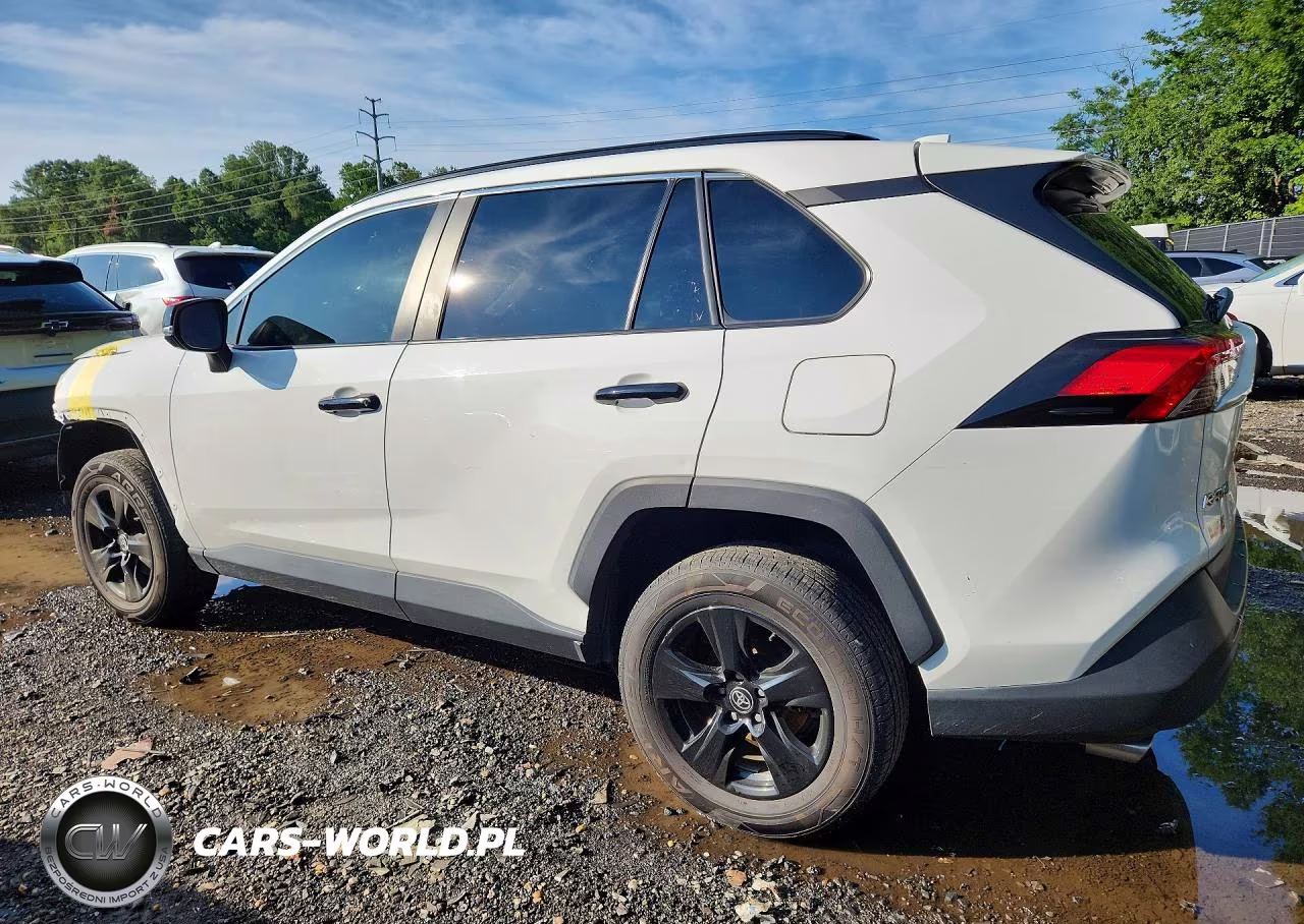 2023 Toyota Rav4 VIN:2T3P1RFV7PW392516 - 2