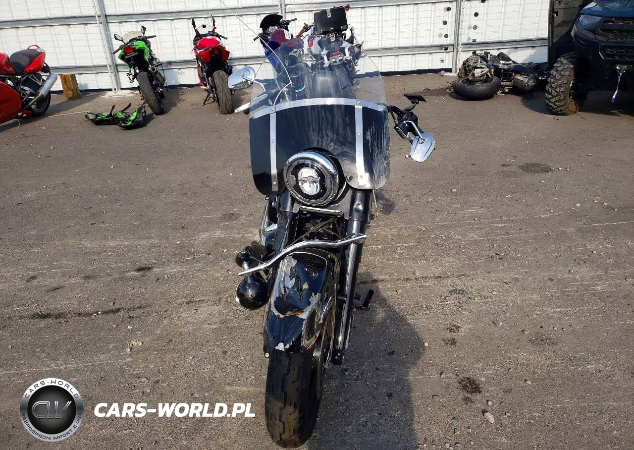 2019 Harley-Davidson Flhc VIN:1HD1YAJ2XKB029238 - 2