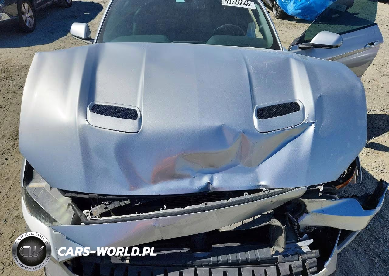2019 Ford Mustang VIN:1FATP8UH6K5181561 - 11