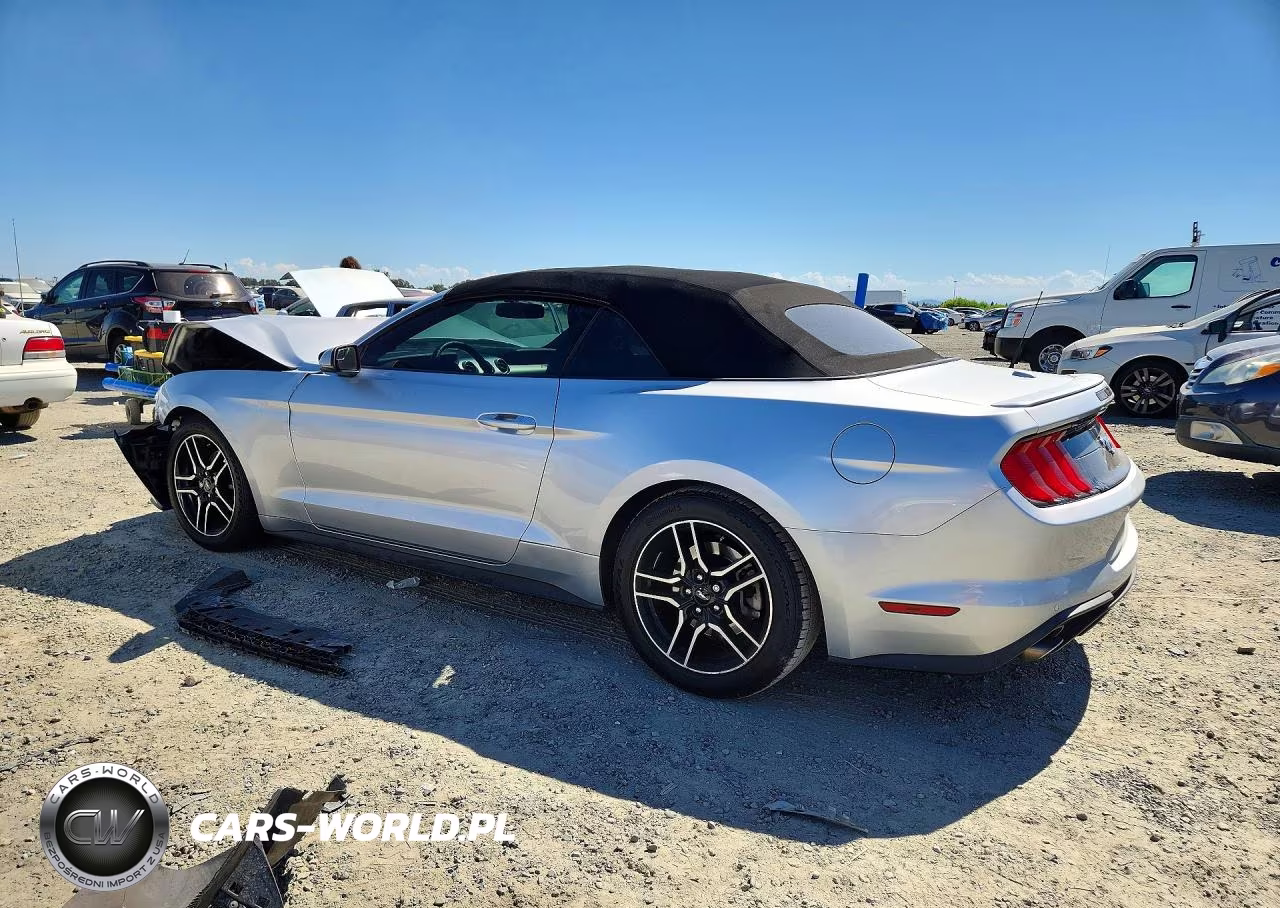 2019 Ford Mustang VIN:1FATP8UH6K5181561 - 2