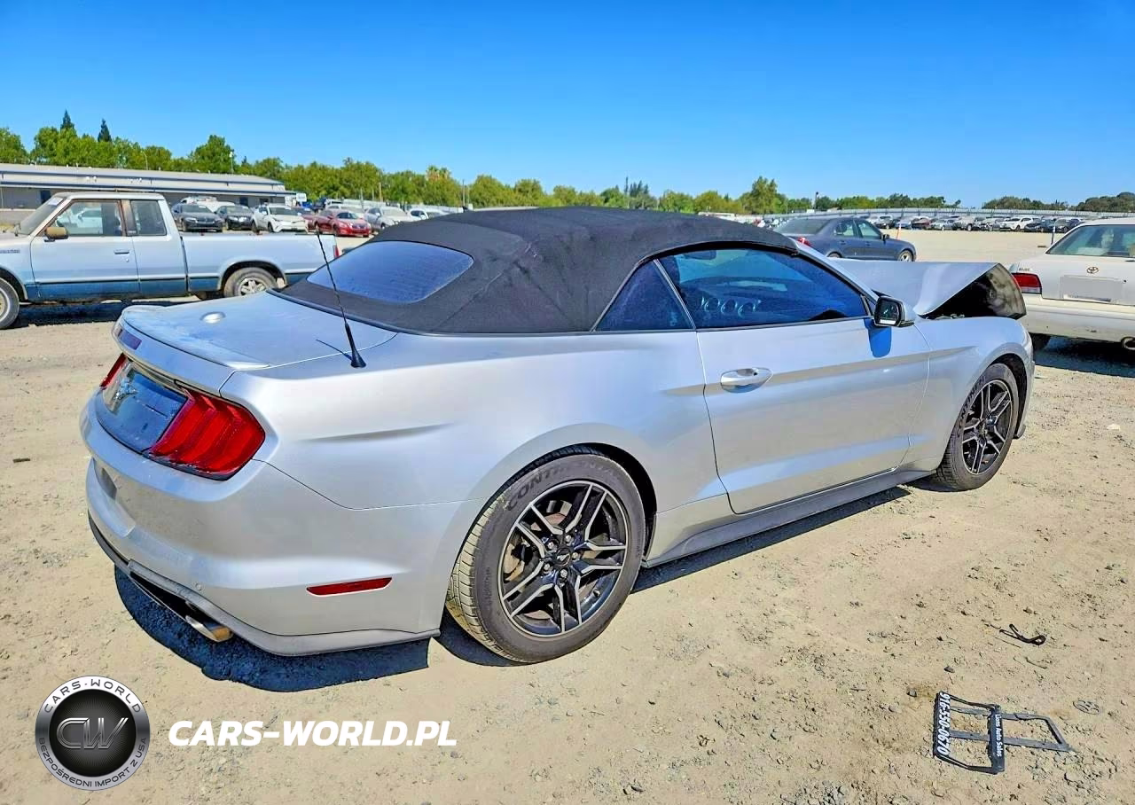 2019 Ford Mustang VIN:1FATP8UH6K5181561 - 3