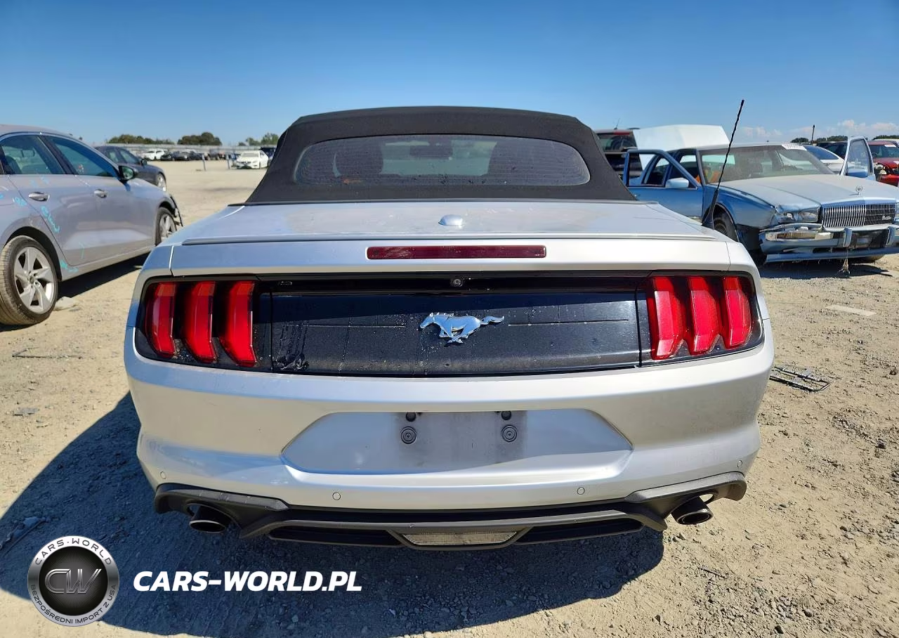 2019 Ford Mustang VIN:1FATP8UH6K5181561 - 6