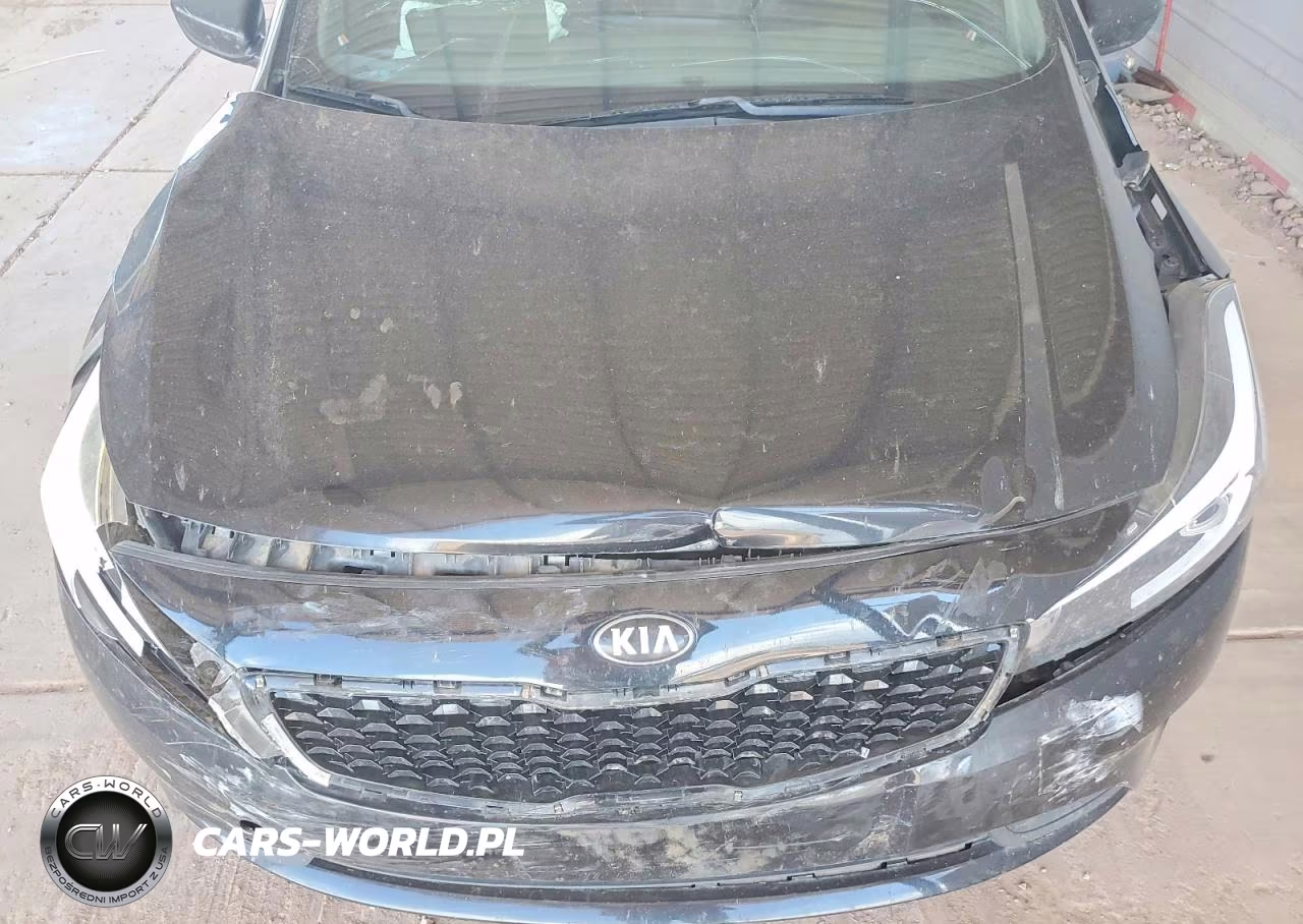 2017 Kia Forte Lx VIN:3KPFK4A79HE092638 - 11