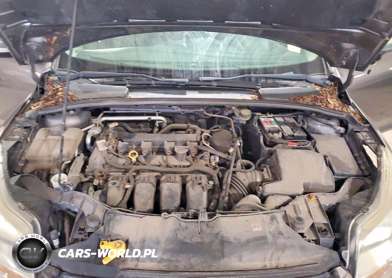 2014 Ford Focus Se VIN:1FADP3F20EL228342 - 11