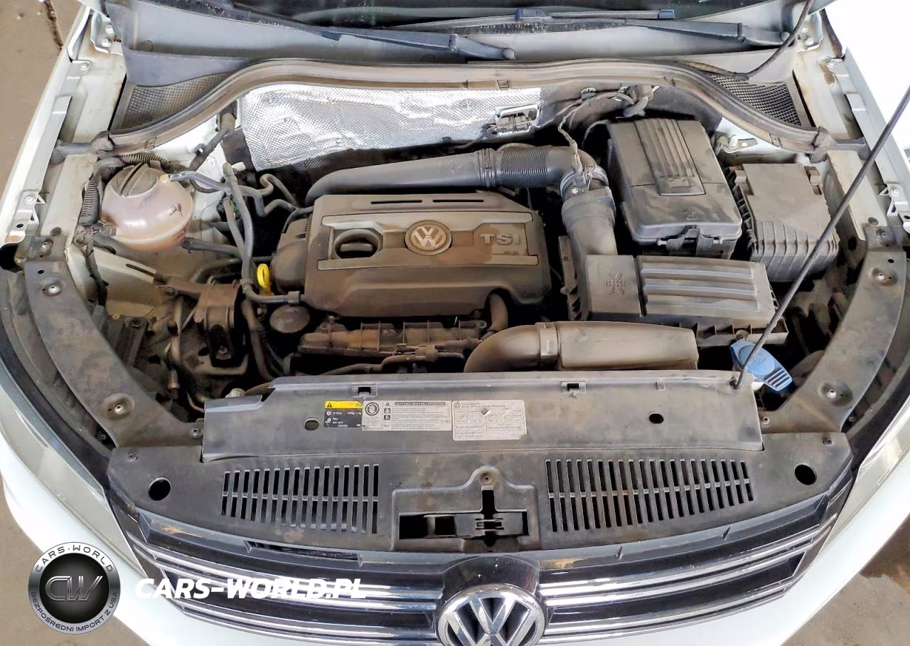 2016 Volkswagen Tiguan S VIN:WVGAV7AX9GW580717 - 11