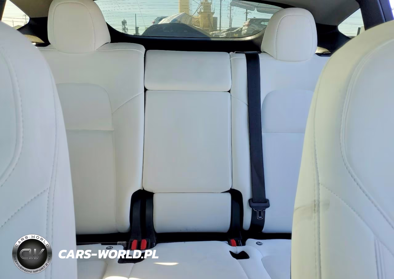 2024 Tesla Model Y VIN:7SAYGDED8RF037008 - 10