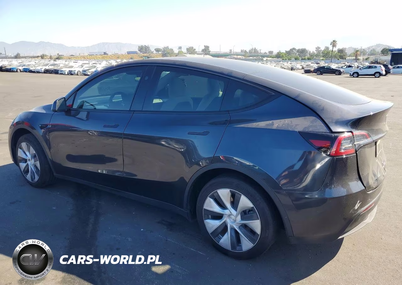 2024 Tesla Model Y VIN:7SAYGDED8RF037008 - 2