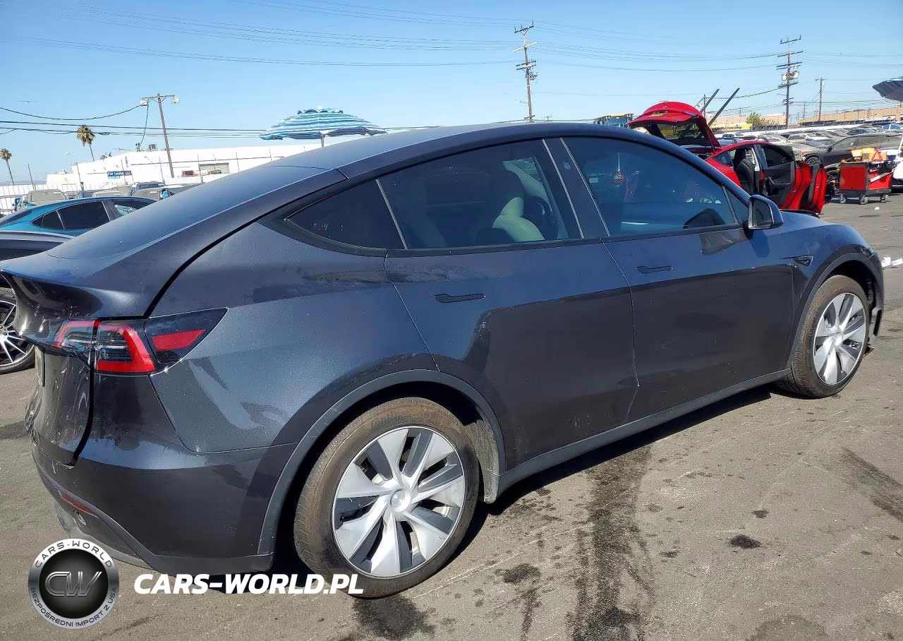 2024 Tesla Model Y VIN:7SAYGDED8RF037008 - 3