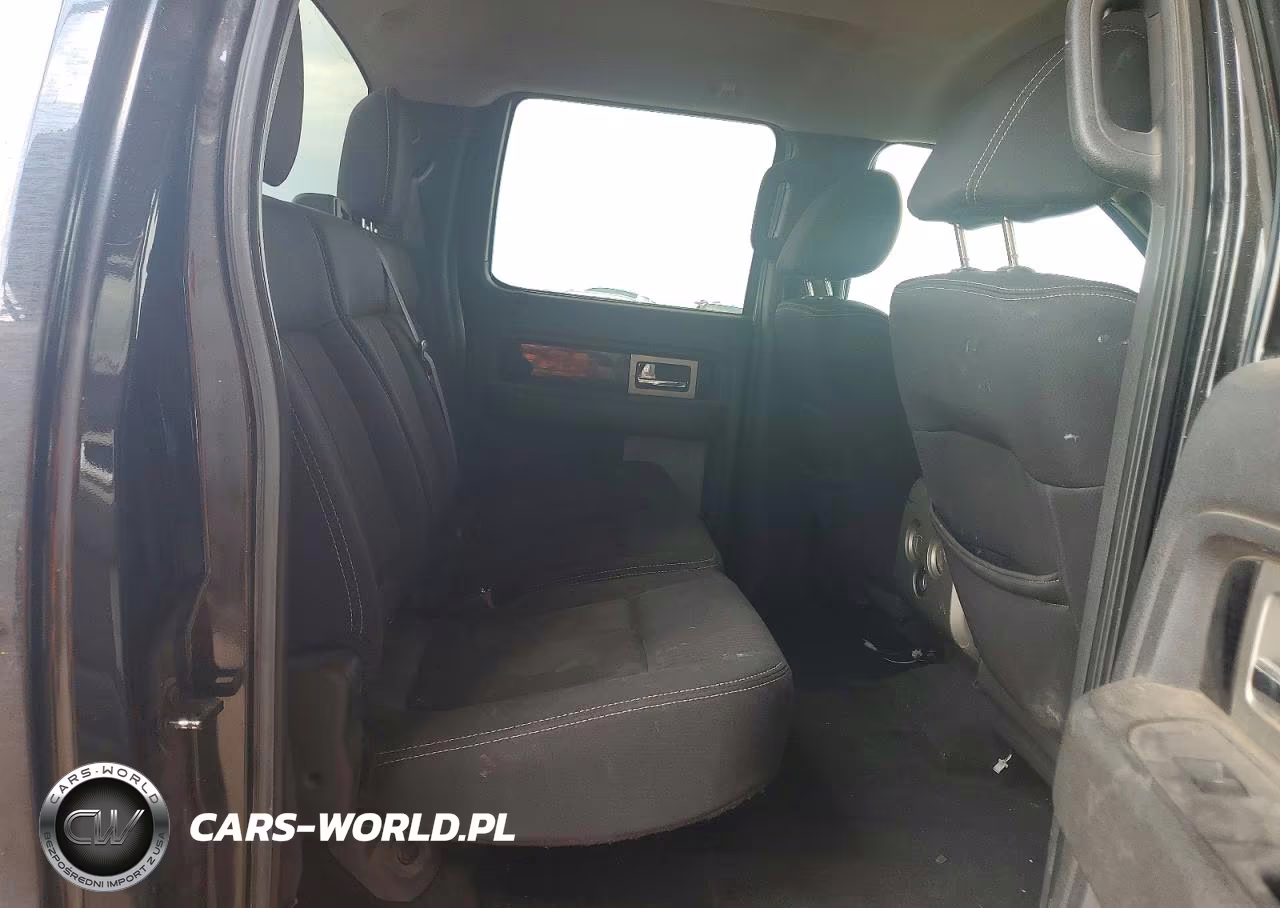 2010 Ford F150 Supercrew VIN:1FTFW1EV1AFB97195 - 10