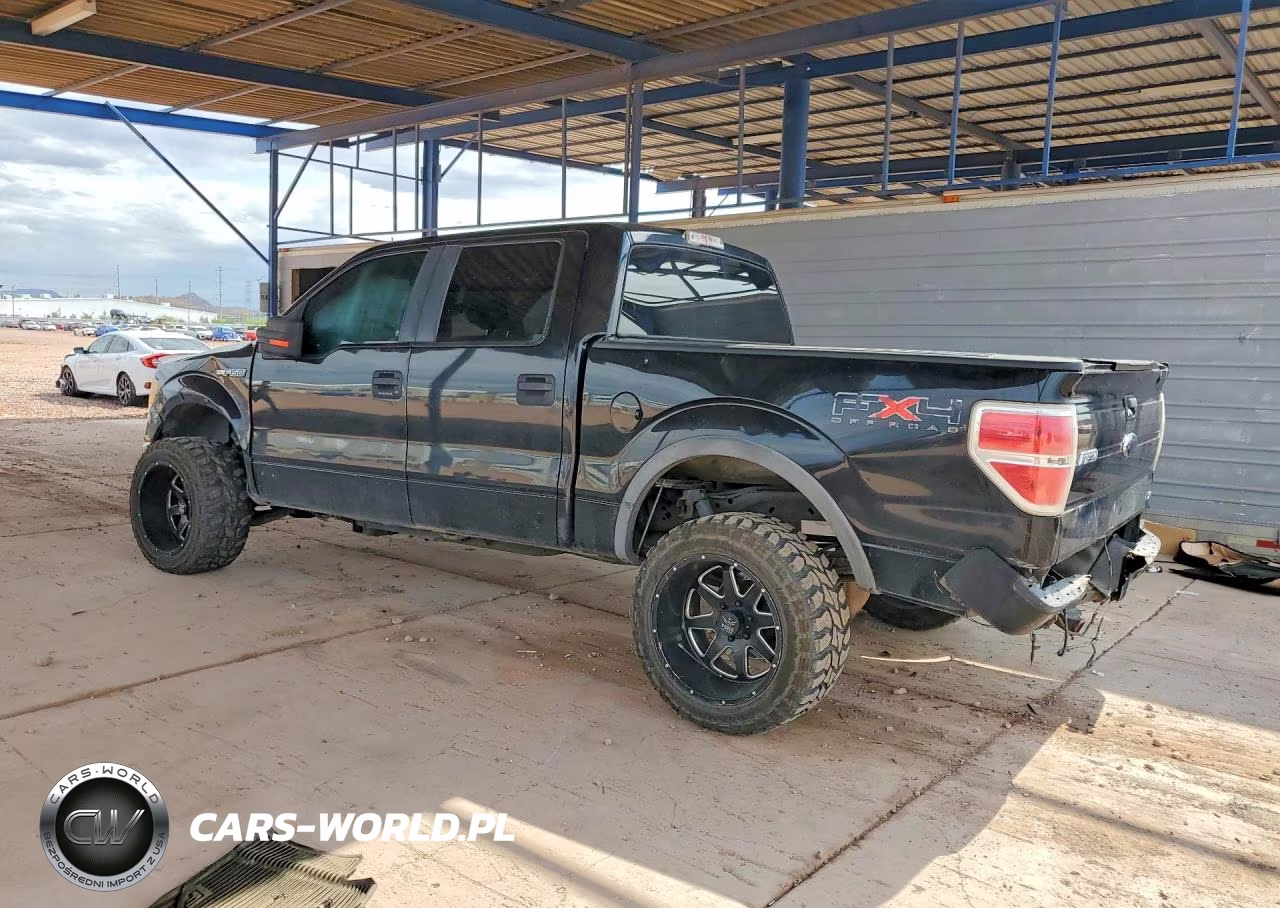 2010 Ford F150 Supercrew VIN:1FTFW1EV1AFB97195 - 2