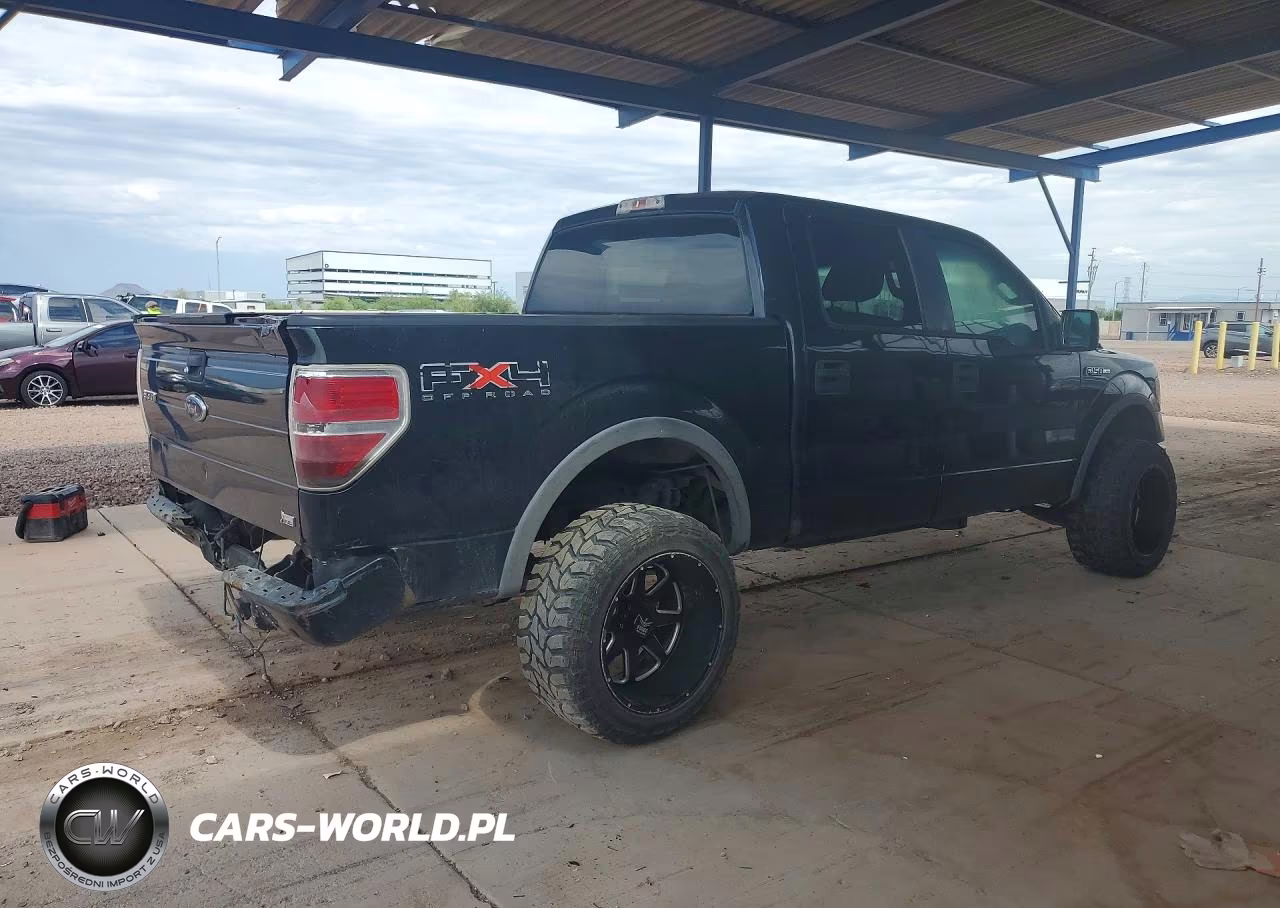 2010 Ford F150 Supercrew VIN:1FTFW1EV1AFB97195 - 3