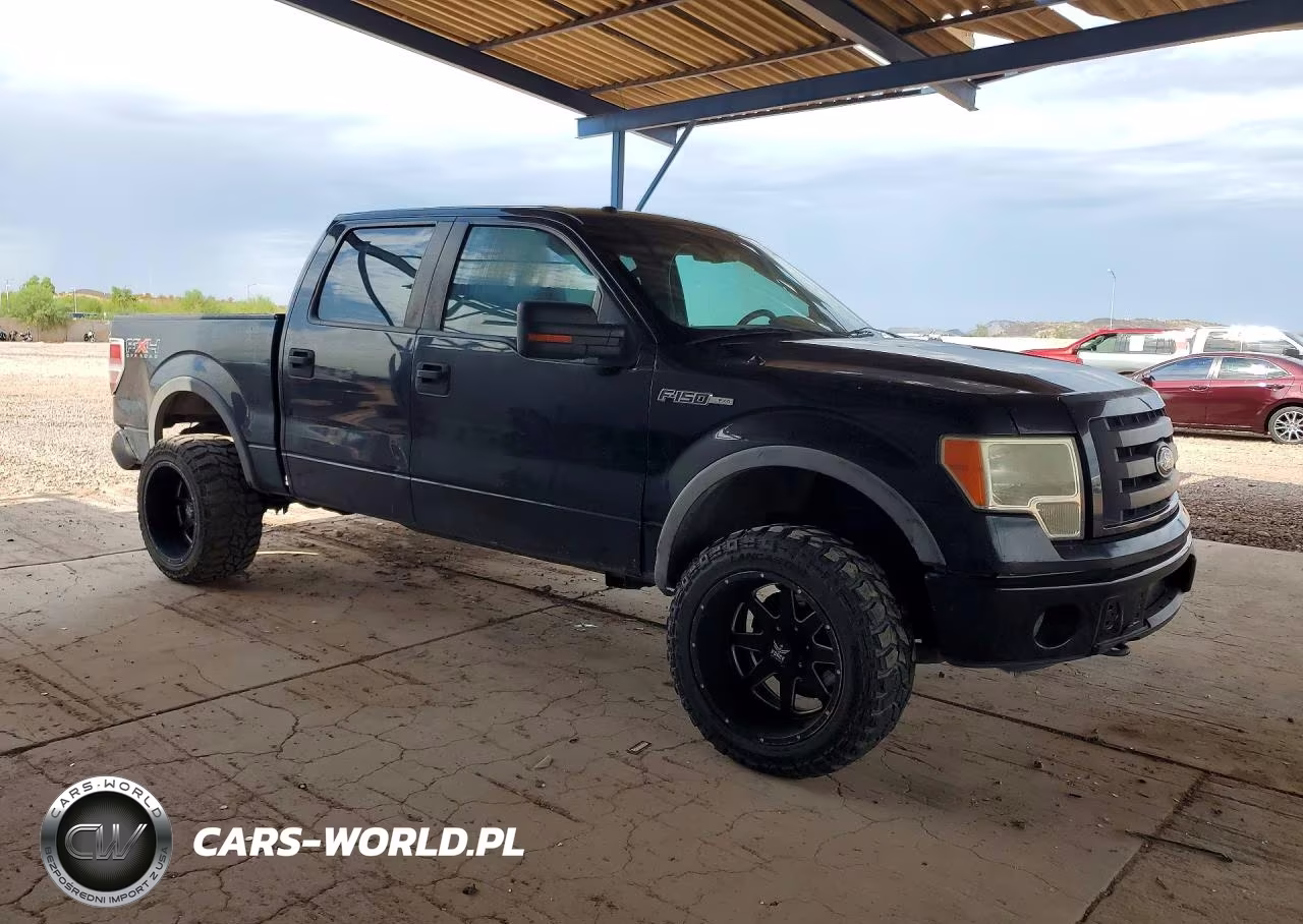 2010 Ford F150 Supercrew VIN:1FTFW1EV1AFB97195 - 4