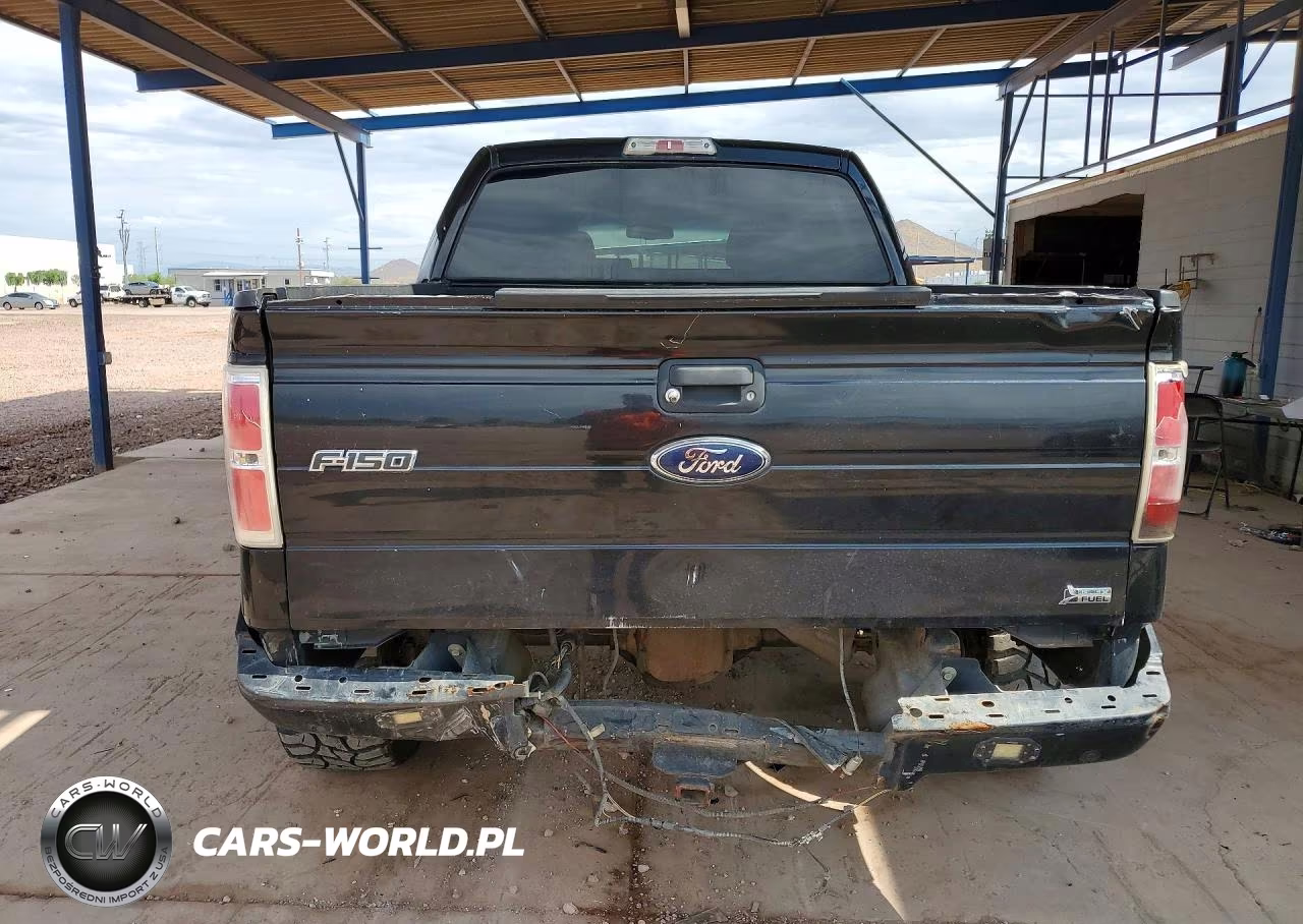 2010 Ford F150 Supercrew VIN:1FTFW1EV1AFB97195 - 6