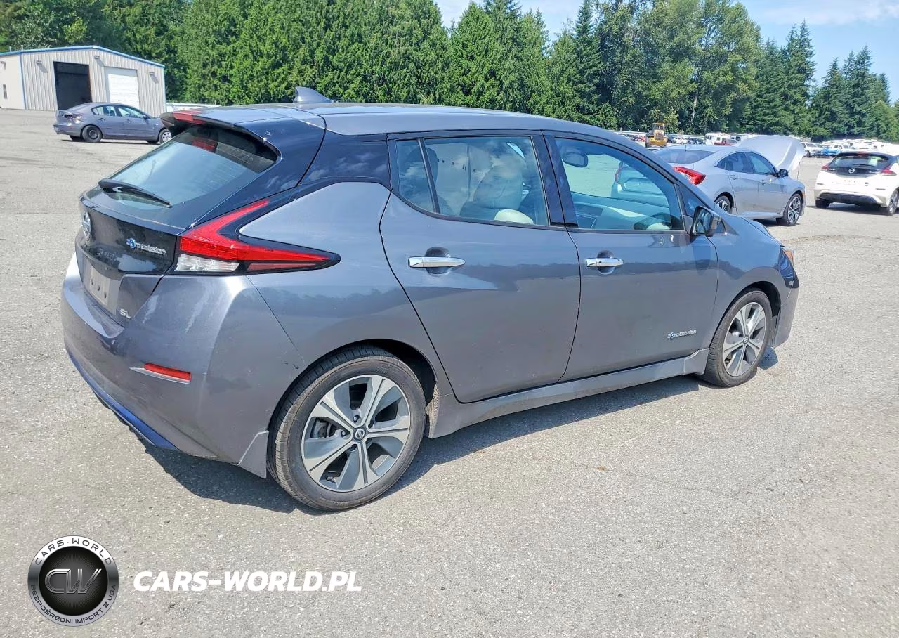 2018 Nissan Leaf Sl VIN:1N4AZ1CP6JC302746 - 3