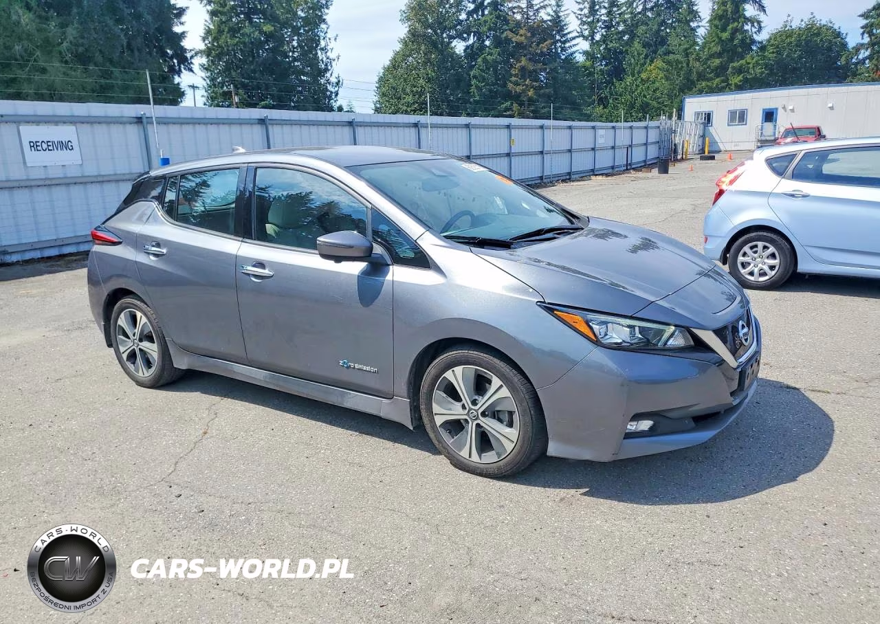 2018 Nissan Leaf Sl VIN:1N4AZ1CP6JC302746 - 4