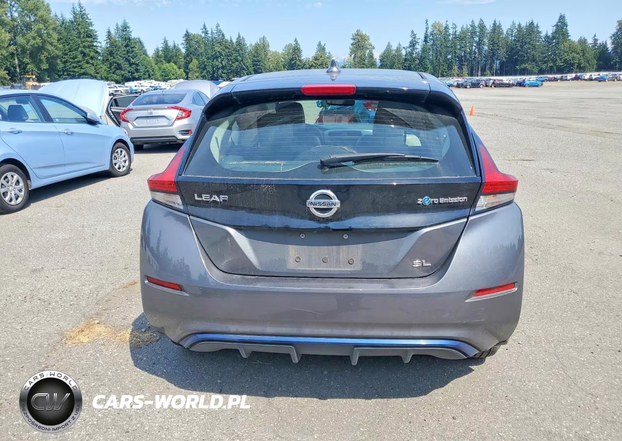 2018 Nissan Leaf Sl VIN:1N4AZ1CP6JC302746 - 6