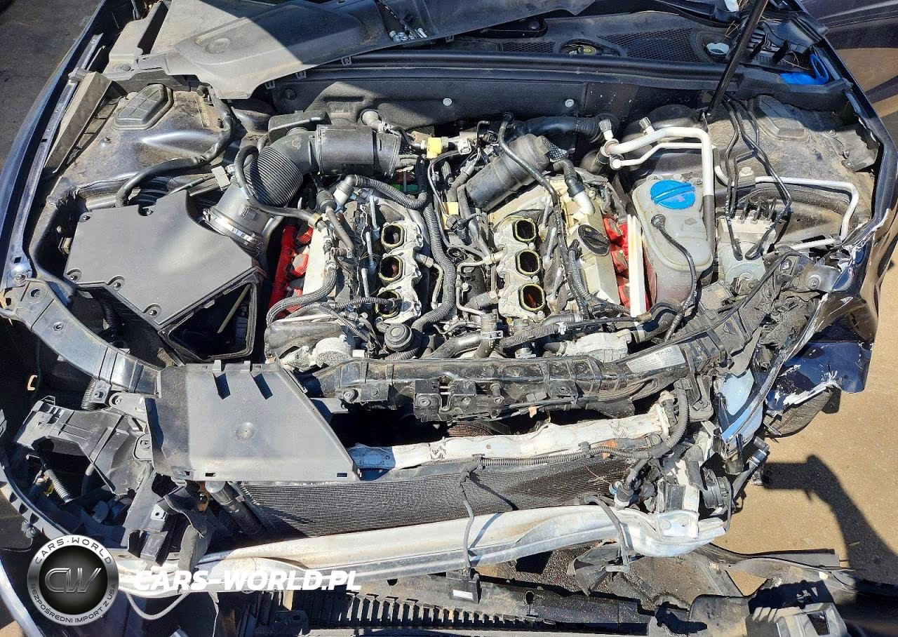 2014 Audi S5 Prestige VIN:WAUVGAFR4EA055109 - 11