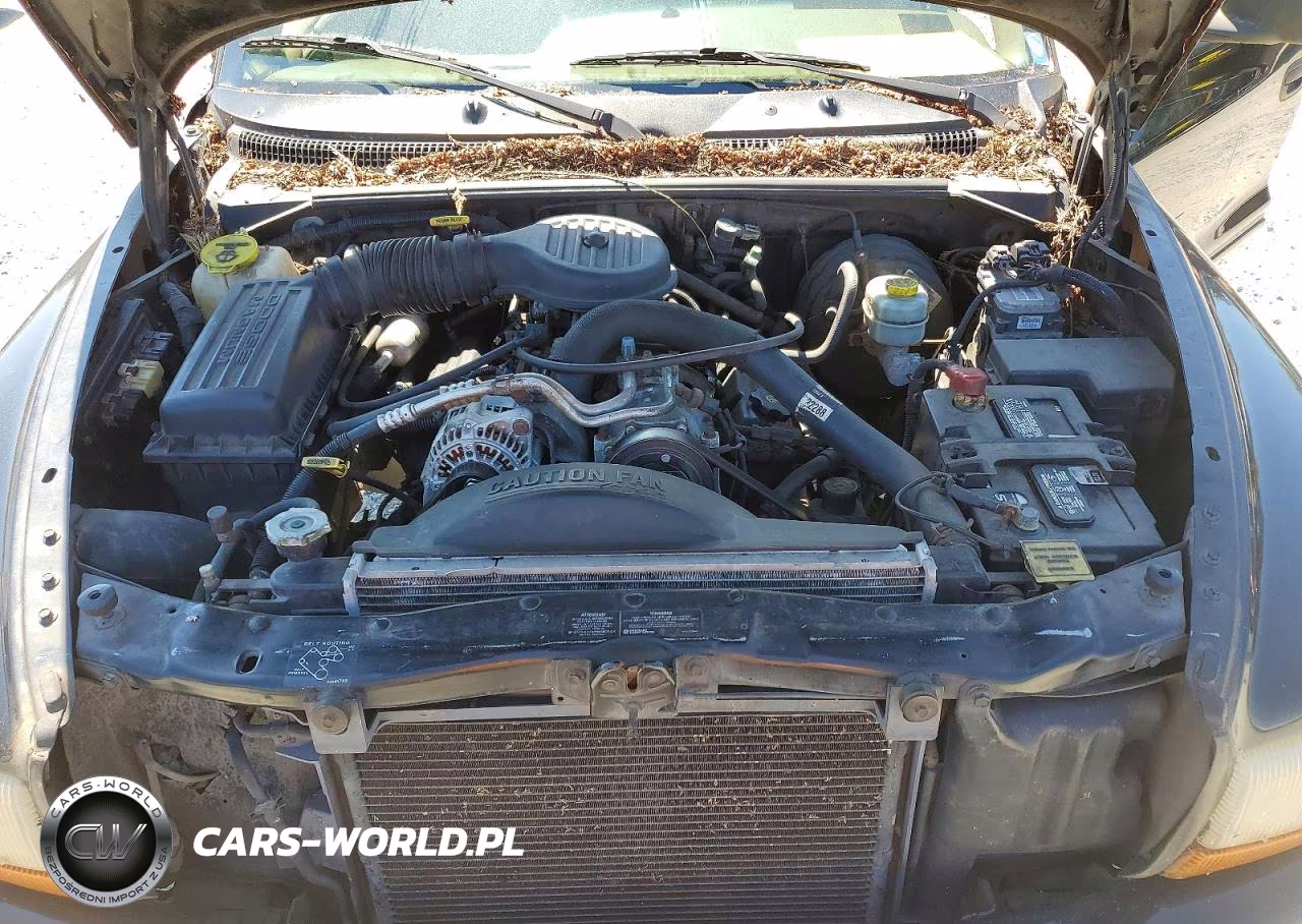 1999 Dodge Durango VIN:1B4HS28Z1XF687442 - 12