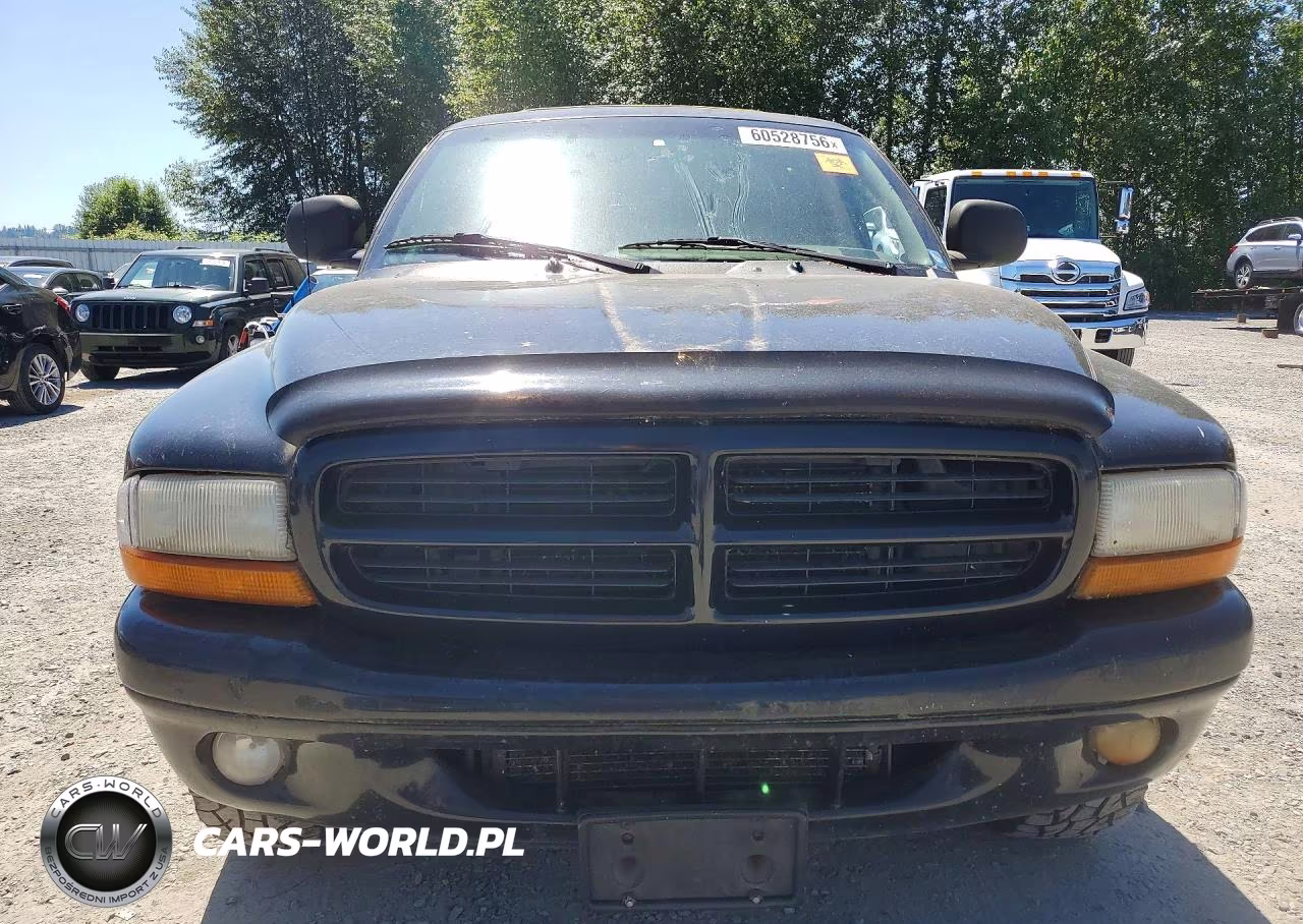 1999 Dodge Durango VIN:1B4HS28Z1XF687442 - 5