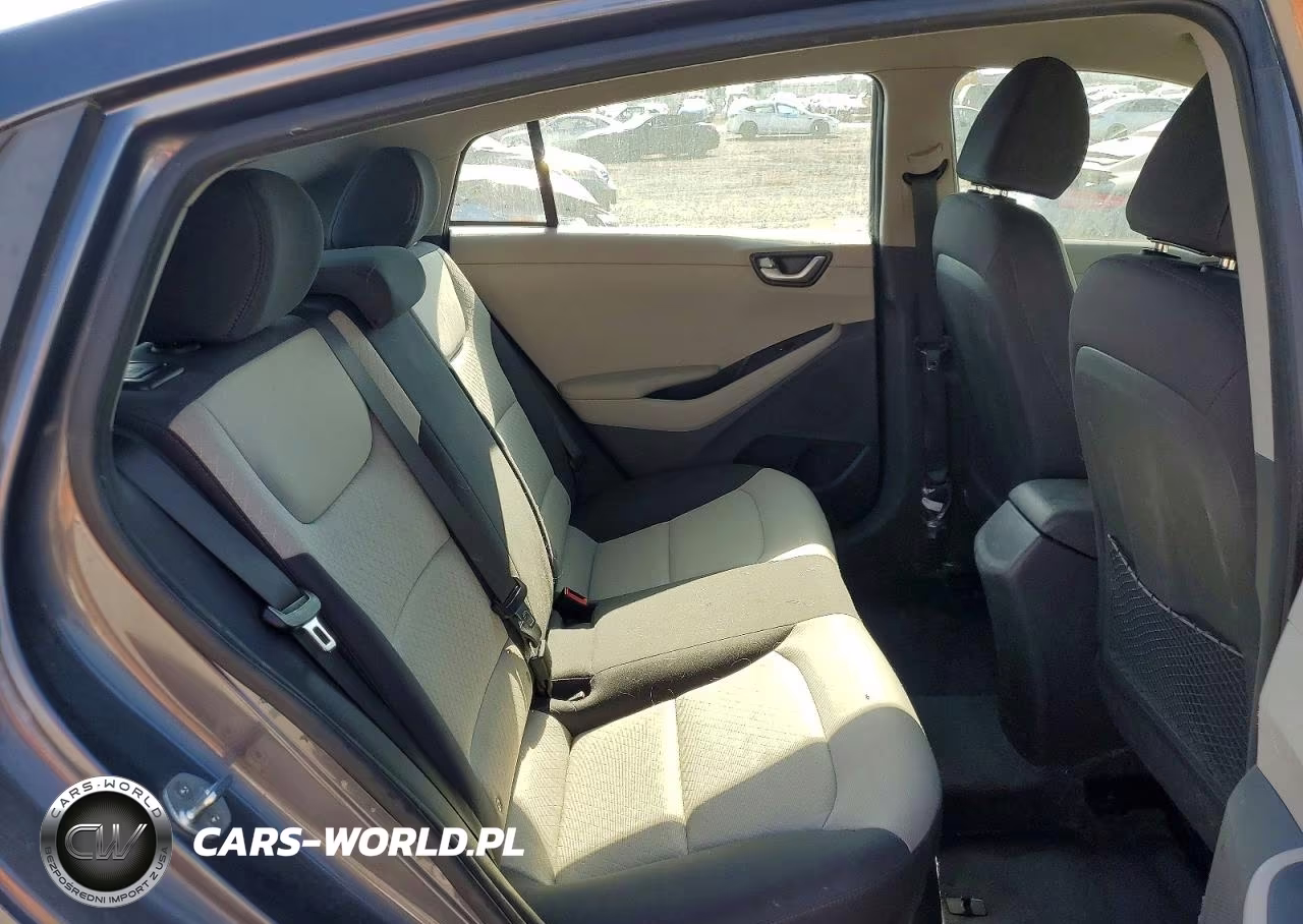 2017 Hyundai Ioniq Blue VIN:KMHC65LC2HU024282 - 10